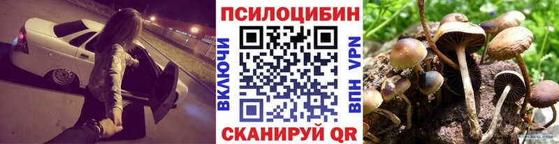 Галлюциногенные грибы GOLDEN TEACHER  купить наркоту  Суоярви 